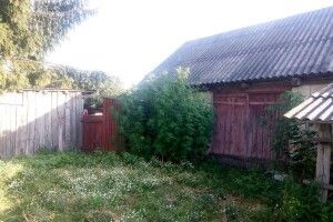 Один турійчанин вирощував коноплі просто на подвір’ї, інший – сіяв мак