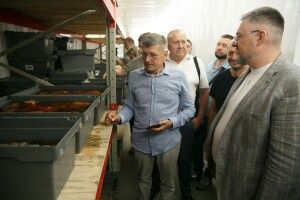 Що побачили і чого навчились на Волині представники громад Львівщини та Закарпаття