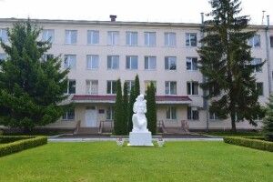 У ковідному госпіталі на базі луцького пологового почали лікувати перших хворих