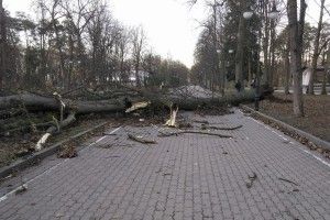 Підсумки негоди: двоє загинули і четверо в лікарнях – рятувальники