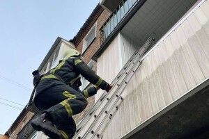 На Волині рятувальникам довелося лізти по драбині на 4-ий поверх (Фото)