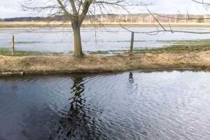 Через весняну повінь на Ковельщині затоплені пасовища і городи