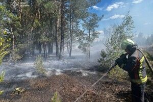 На Волині суха трава палала неподалік села