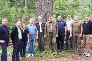 Українські лісівники поїхали у Словенію