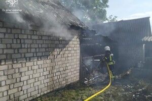 Волинянин негайно мусив викликати рятувальників у своє обійстя