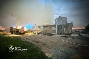  На Львівщині рятувальники врятували з вогню 30 000 курчат