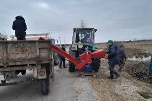 На Ратнівщині обрізали дерева 