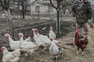 Без прикрас і ретуші: волинський фотограф показав справжній Нововолинськ (Фото)
