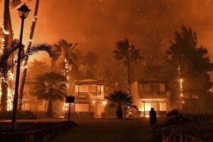 Дворічний хлопчик врятував сім'ю від загибелі
