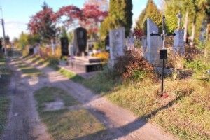 У Луцькій громаді наведуть лад на всіх цвинтарях