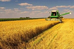 На Волині смертельно травмувалося двоє працівників