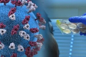 За минулу добу коронавірусом заразилися 7930 українців: захворіло 228 волинян
