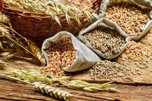 В Україні вже намолочено майже 30 мільйонів тонн зерна