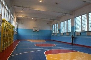  Чому ліквідовують спортивну школу Луцького району?