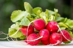 Теплична редиска цьогоріч коштує в шість разів дорожче, аніж торік