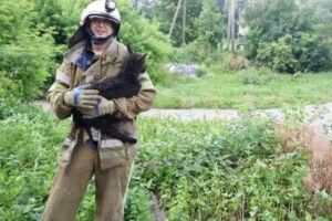 Рятувальники витягнули з колодязя козеня