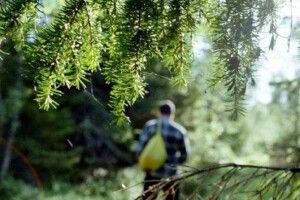 На Рівненщині знайшли мертвим чоловіка, який пішов по гриби і зник 