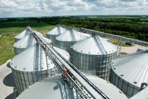 На Волині не вистачає елеваторних потужностей на понад мільйон тонн збіжжя