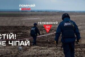 На Волині знешкодили міну та снаряди з часів минулих воєн