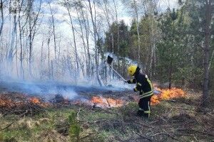 Гасити ліс біля Заболоття на Волині вогнеборцям допомагали лісівники і місцеві жителі