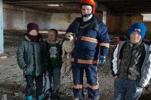 Трійко хлопчаків та бійці ДСНС врятували з халепи пса (Фото)