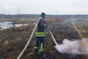 На Волині невідомі підпалили урочище Олисея