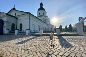 Білий птах із чорною ознакою на ім’я Сеня навідався до церкви 