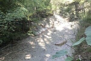 У Криму пересохла четверта за цей рік річка