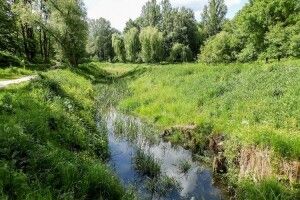 Лучани вимагають побудувати автомобільний міст через Сапалаївку, аби сполучити вулиці Чорновола та Мазепи