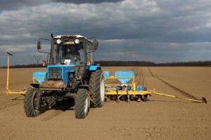 «Рать» першою на Волині розпочала сіяти цукрові буряки
