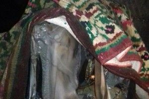 Під час пожежі на Рівненщині чоловік серйозно обпік обличчя