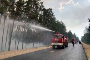 У лісовій пожежі загинула одна людина, ще дев'ять - госпіталізовано