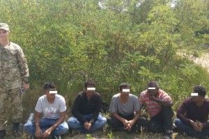 Невідомі покинули напризволяще шістьох вихідців з Індії та Пакистану у лісах Закарпаття