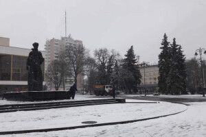 У центрі Луцька з'явилася величезна Леся Українка (Фото)