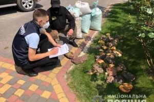 На Рівненщині вилучили ледь не тонну бурштину