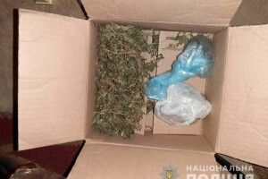 Житель Рівненщини зберігав вдома добрий жмут канабісу