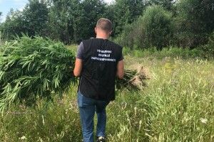 Троє старовижівських безробітних промишляли наркотою
