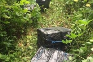 На Волині прикордонники підстрелили контрабандиста