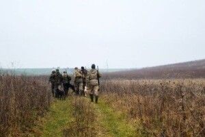 Кожному волинському мисливцепі по 1 зайцю, а лисиць, єнотів і вовків – без ліку