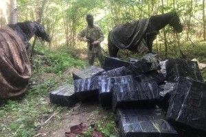 На Буковині затримали «кінний караван» із куривом (відео)