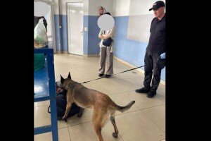 На Волині у пакетику з-під льодяників службовий собака винюхав канабіс
