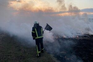 Волинські палії вже і Луцьк підпалили...