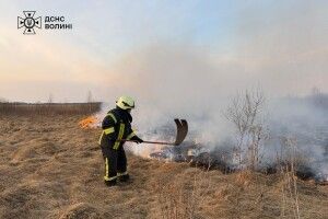 Волинь у вогні: за добу сталася 21 пожежа в усіх районах області