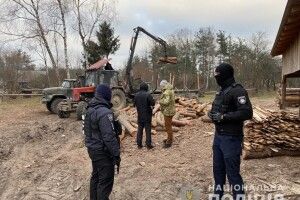 У Камінь-Каширському районі поліція «трусила» підпільних пилорамщиків (Відео, фото)