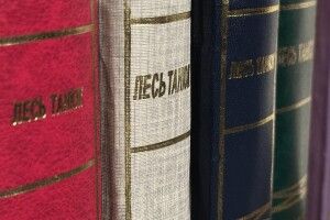 Історикиня з Луцька отримала престижну нагороду за правдиву історію