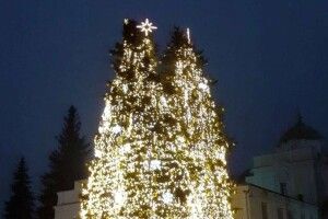 Луцькі ялинки у трійці найкрасивіших України