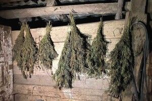На Острожчині поліцейські вилучили понад півкілограма висушених конопель