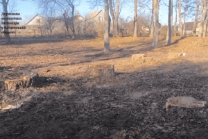 На Волині шукають вандалів, які понівечили дерева у парку (Відео)
