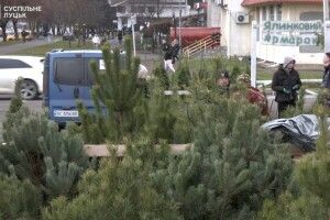 Ціни зросли, попит впав: у Луцьку стартували ялинкові ярмарки