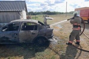 На Волині вчора горіли автівка, суха трава і чагарники